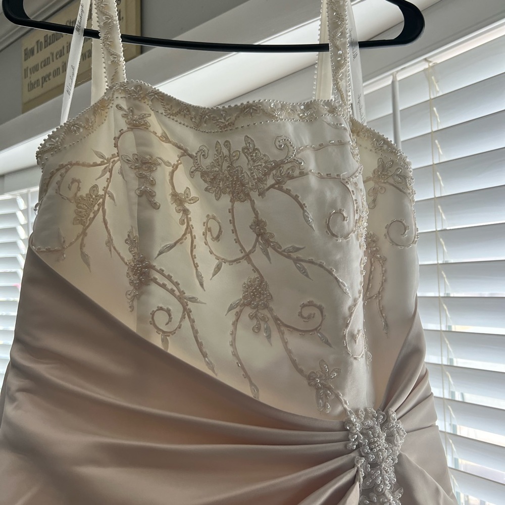 👰‍♀️Michaelangelo by David’s Bridal Wedding Dress